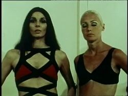 1970s swimwear Stock Footage