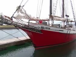 Front Of The Red Witch Tall Ship Stock Footage