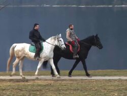 HD: Horseriding In Bohinj Stock Footage