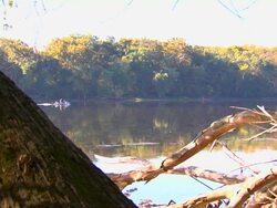 HD Fishing Long Shot_1 (1080/24P) Stock Footage