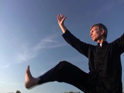tai chi kick right Stock Footage