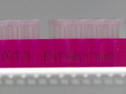 Testing Samples - Food Control Laboratory News Clip