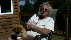 Dog nurses stray kitten, becomes mother to the animal News Clip