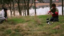 Appealing young couple throwing balls to a pup in woods Stock Footage