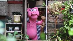 boy playing pig hand puppet Stock Footage