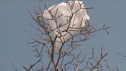 CLEAN : Work ends to clear shelters in part of France migrant camp News Clip