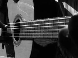 Playing sevillanas Stock Footage