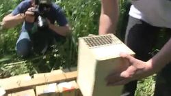 CLEAN : France looks to boost Great Hamster News Clip