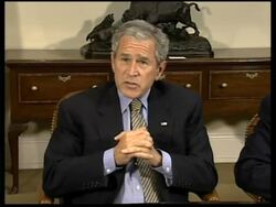 Bush sets up panel to ensure safety of imported products News Clip