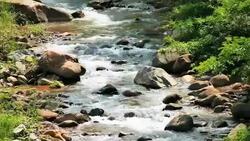 Stream of flowing River Stock Footage