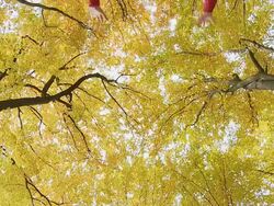 HD SLOW MOTION: Young Man Jumping Over Camera Stock Footage