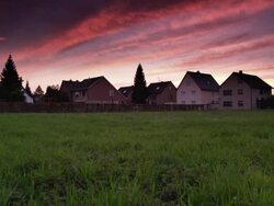 CRANE UP: Suburban Houses Stock Footage
