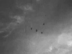 Hunters enjoy a bounty in annual duck and wild geese migration season Stock Footage