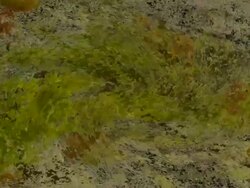 ORGANIC MATTER : close-up, vortex, black back (TRANSITION) Stock Footage