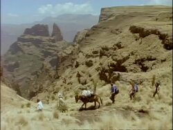WA high angle, Pan left, People trekking along path in Simian mountain range, donkey carrying load, Ethiopia, Africa Stock Footage
