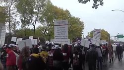 CLEAN : Tribes seek to be heard in Canada vote News Clip