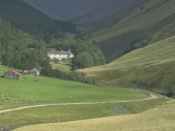 Glen Tilt And Forest Lodge Stock Footage