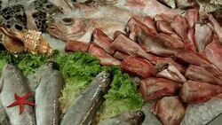 Fridge with seafood in the supermarket Stock Footage