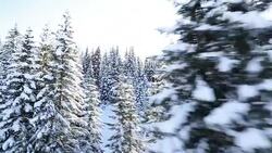 Flying through Winter Landscape Stock Footage