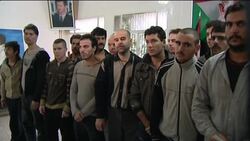 Arab League observers monitoring prisoners' release News Clip