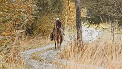 Cowboy riding a horse on country road Stock Footage