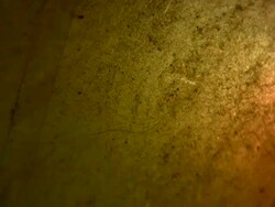 HD 1080i Color Wash through Organic skin Stock Footage