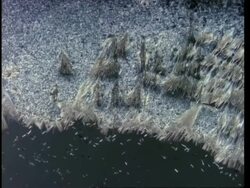 T/L crystals grow across frame Stock Footage