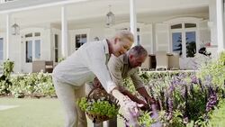 Happy senior couple with basket picking flowers in garden Stock Footage