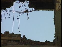 Afghanistan - Ceasefire Broken In Kabul News Clip