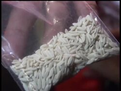 The Tech Awards is an international program honoring innovators from around the world who are applying technology to benefit humanity. This year's winners were announced Thursday in San Jose, CA. News Clip