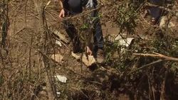 French and Thai experts help in search for bodies and wreckage Instructional Video