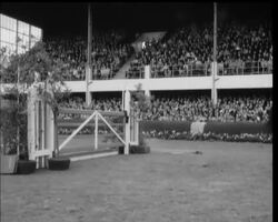 SHOW JUMPING - IRELAND LEADS FIVE NATIONS News Clip