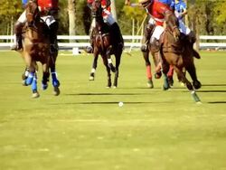 SLO MO polo players chasing ball as their horses gallop towards camera chasing ball and red team player cuts in front of blue team and strikes ball forward  / Indio, California, USA  Stock Footage