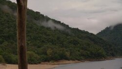 Fog drifts across a mountain river. Stock Footage