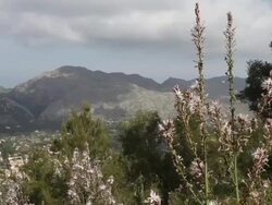 View of a mountainous landscape Stock Footage