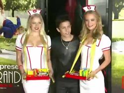 Aramis Knight at "Jackass Presents: Bad Grandpa" Los Angeles Premiere in Hollywood, CA, on 10/23/2013. (Footage by WireImage Video/Getty Images) Stock Footage