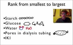 Diffusion Demo Instructional Video