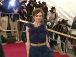 Metropolitan Museum of Art Costume Institute Gala, 'Poiret: King of Fashion' Stock Footage