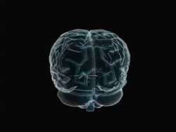 Human brain wireframe rotation Stock Footage