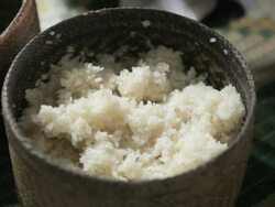 CU sticky rice / Xam Neua, Laos Stock Footage