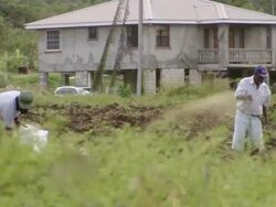 WS PAN People working in the filed  / Brightown, Barbados Stock Footage