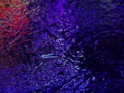 wet pavement with reflected neon light Stock Footage