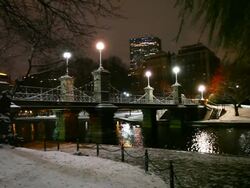 Late Autumn snow in Boston Stock Footage