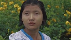 M/S SLO MO Myanmar teenage girl taking a flower in a field of yellow mums, rain Stock Footage