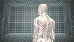 Scientists to attempt repairing damaged human spinal cords Instructional Video