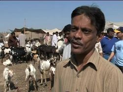 Preps ahead of Muslim holiday Eid al-Adha News Clip