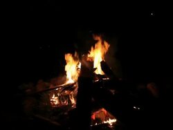 MS Campfire at night / Knowlton, Quebec, Canada Stock Footage