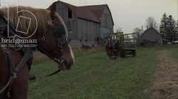 Horses ploughing field on farm, 1930s - reenactment Stock Footage