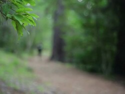 Jogger Stock Footage