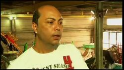 Samba school goes green using biofuels for floats News Clip